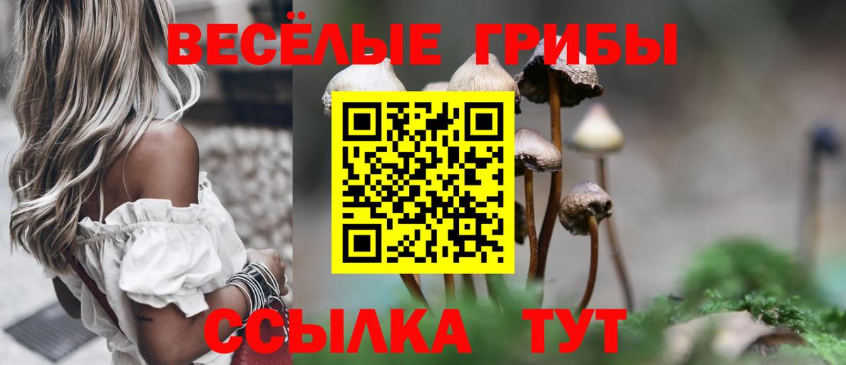 Псилоцибиновые грибы GOLDEN TEACHER Коломна